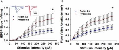 Increased Excitability and Heightened Magnitude of Long-Term Potentiation at Hippocampal CA3–CA1 Synapses in a Mouse Model of Neonatal Hyperoxia Exposure